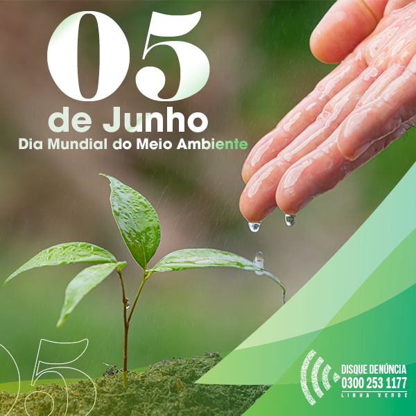 Linha Verde divulga balanço de denúncias sobre crimes ambientais com objetivo de chamar atenção para a Semana do Meio Ambiente